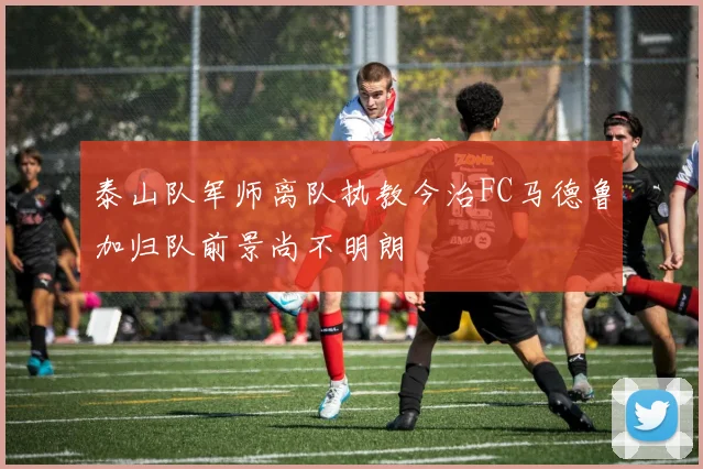 泰山队军师离队执教今治FC马德鲁加归队前景尚不明朗